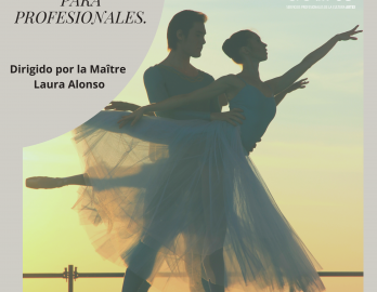 CLASES DE BALLET PARA PROFESIONALES / LAURA ALONSO "Clases para chicos"