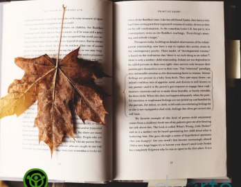 TALLER DE LITERATURA "El binomio fantástico"